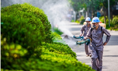 商丘正規(guī)家庭滅四害公司